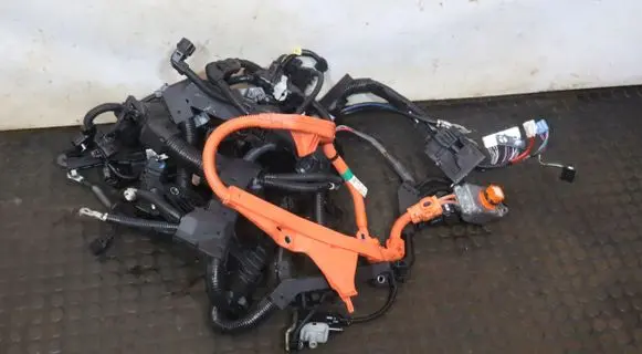 Lexus RX 330 - 350 - 400H Right interior wiring harness 