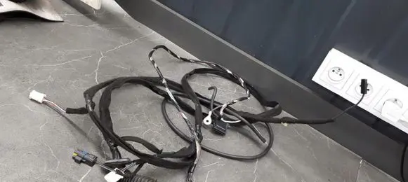Renault Twingo II Front door wiring loom/harness boot 240511492R