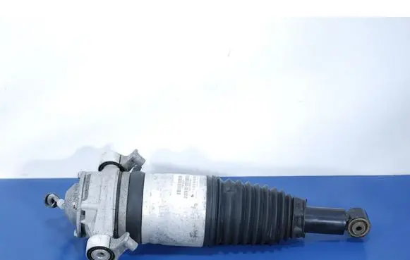 Porsche Cayenne (92A) Rear shock absorber/damper 7P5616020AH