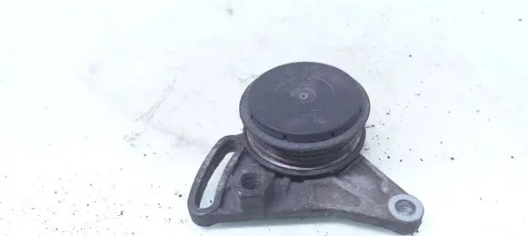 Volkswagen PASSAT B5.5 Air conditioning tensioner 058260511