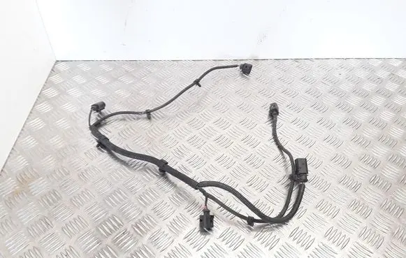 Volkswagen PASSAT B5.5 Parking sensor (PDC) wiring loom 3B0973813