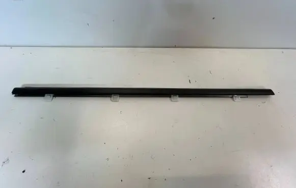 Honda Civic IX Rear door trim (molding)