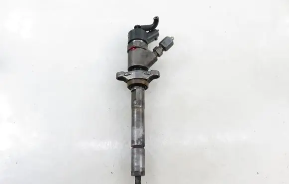 Citroen Xsara Picasso Fuel injector 0445110188