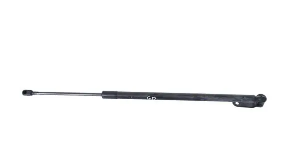 Opel Insignia A Tailgate/trunk strut/damper DS73A406A10AG