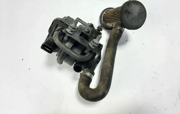 Audi A6 S6 C6 4F Secondary air pump 8E0906272C 8D0201827C