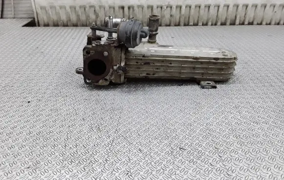 Skoda Octavia Mk2 (1Z) EGR valve cooler 03G131513J
