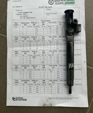 Peugeot Boxer Fuel injector 9674984080