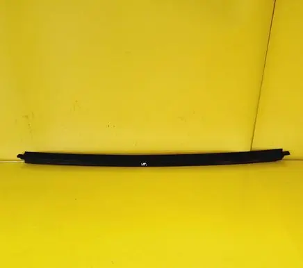 Citroen Xsara Rear door glass trim molding