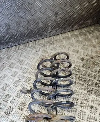 Rear coil spring