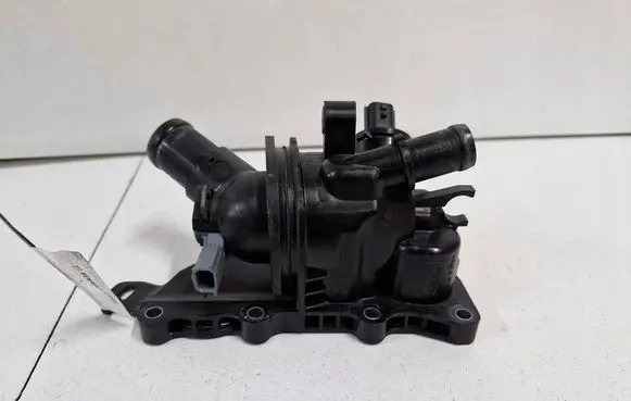 Thermostat/thermostat housing