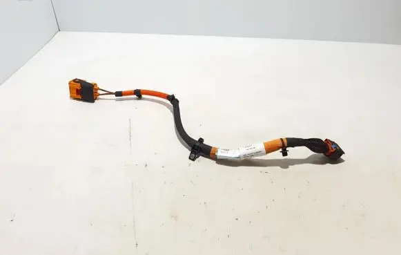 Renault Austral Other wiring loom 240413579R