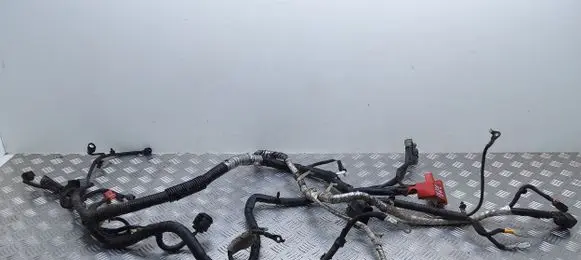 Engine installation wiring loom