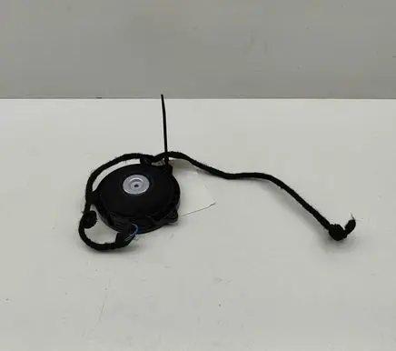 Land Rover Range Rover Sport L461 Panel speaker M9R318808GB