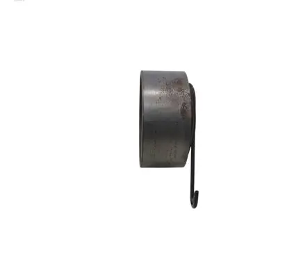 Opel Astra H Belt tensioner pulley 6007LH