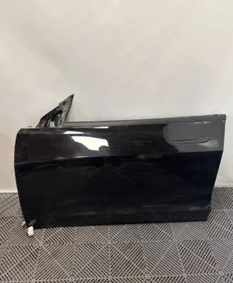 Tesla Model 3 Front door 