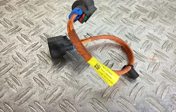 Tesla Model S Other wiring loom 108638000A