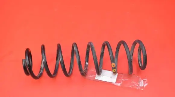 Skoda Fabia Mk3 (NJ) Rear coil spring