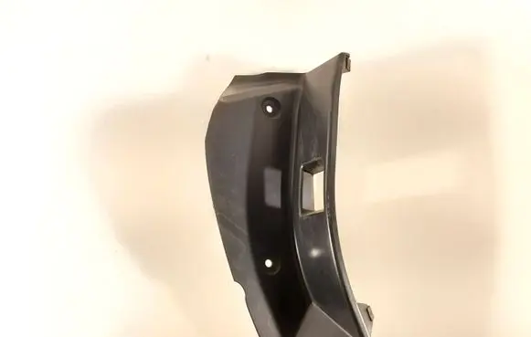 Rear/tail light trim molding