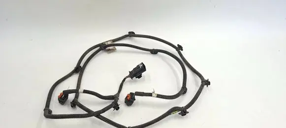 Citroen C4 II Picasso Other wiring loom 9807206780 031418 PQB785