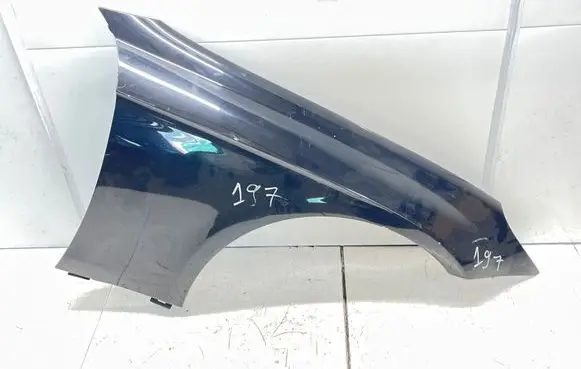 Mercedes-Benz CLS C219 Fender