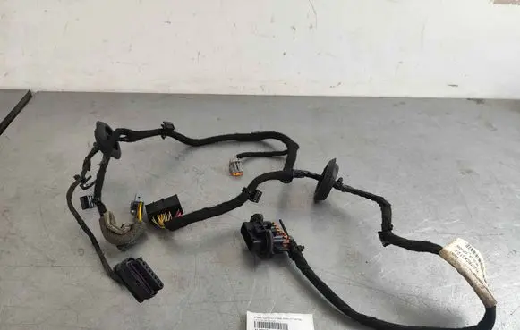 Rear door wiring loom