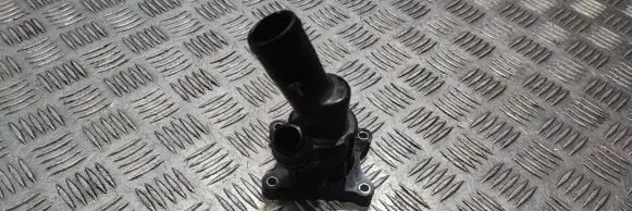 Thermostat/thermostat housing
