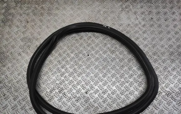 Volkswagen PASSAT B7 Front door rubber seal DA06159018