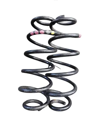 Rear coil spring