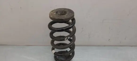 Skoda Enyaq iV Rear coil spring 1EA512149