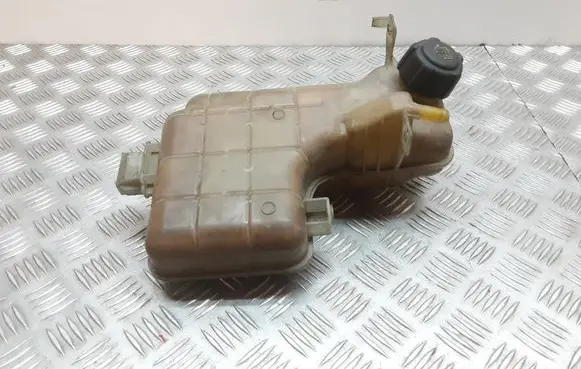 Renault Espace - Grand espace IV Coolant expansion tank/reservoir 8200008866