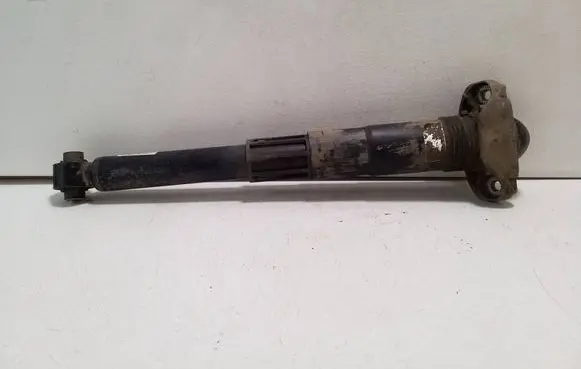 Cupra Born Rear shock absorber/damper 1EA512011AL