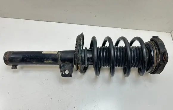 Skoda Octavia Mk2 (1Z) Front shock absorber/damper 317575 824904013020 1K0412331C