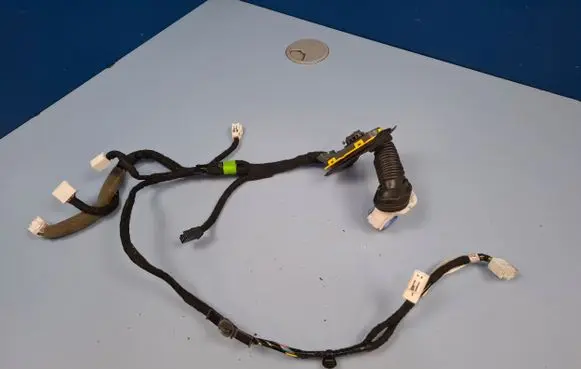 Front door wiring loom