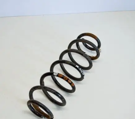 Volkswagen Golf V Rear coil spring