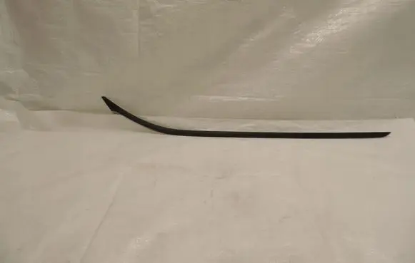 Ford C-MAX II Windshield trim 1006733577