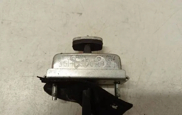 Ford C-MAX I Rear door check strap stopper