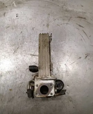 Skoda Octavia Mk2 (1Z) EGR valve 03g131063e 038131513ad
