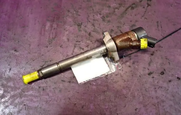 Citroen Xsara Picasso Fuel injector 