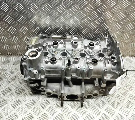 Volkswagen T-Roc Engine head 04E109111AP 05E103469J