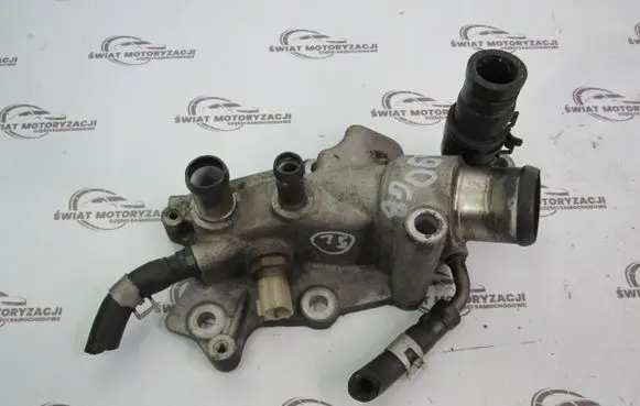 Thermostat/thermostat housing