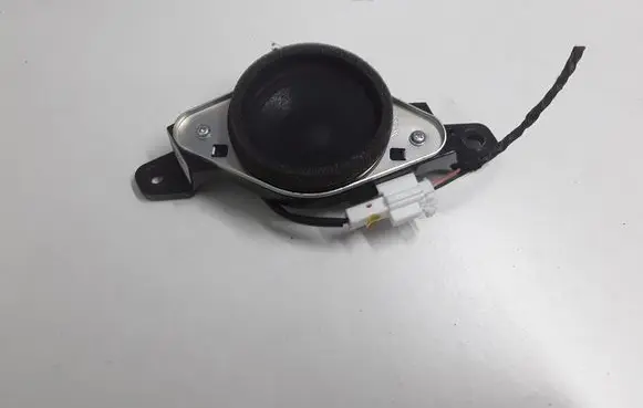 Front door speaker