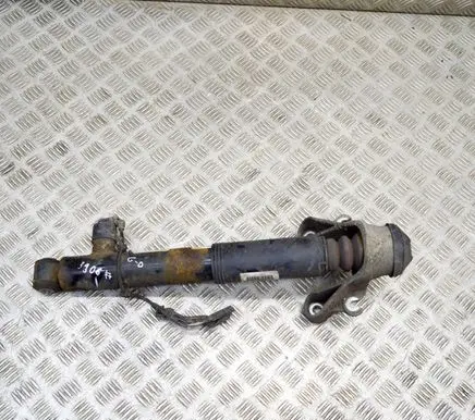 Rear shock absorber/damper