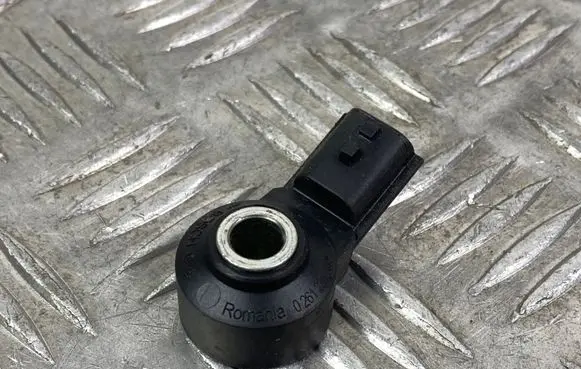 SsangYong Korando Detonation knock sensor 0261231324