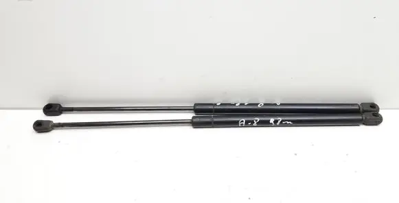 Front bonnet/hood damper/strut