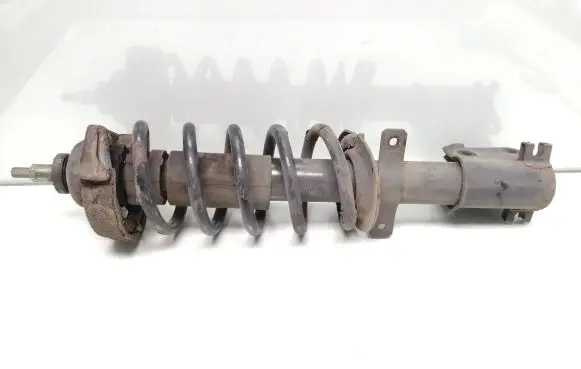 Renault Trafic II (X83) Front shock absorber with coil spring 824904010620 316591