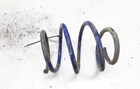 Front coil spring