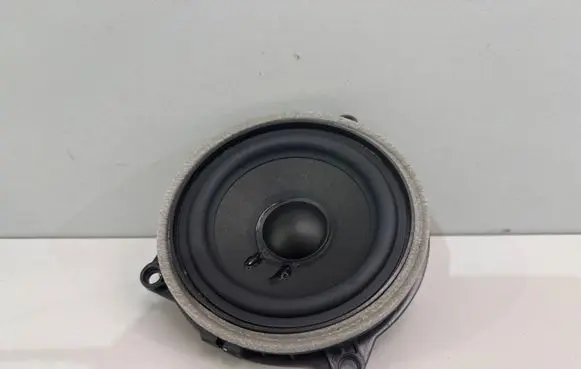 BMW X2 U10 Rear door speaker 5A06FC5