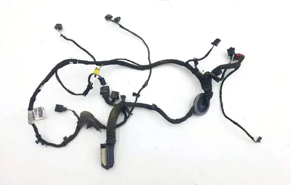 Front door wiring loom