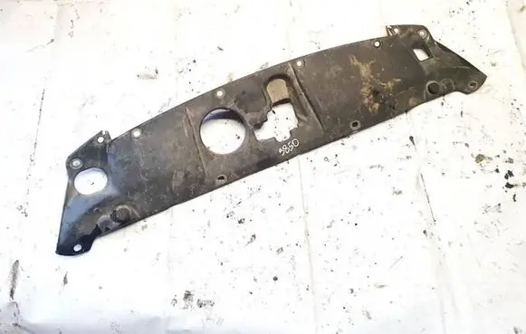 Engine bonnet/hood lock trim molding