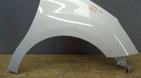 Citroen DS3 Fender